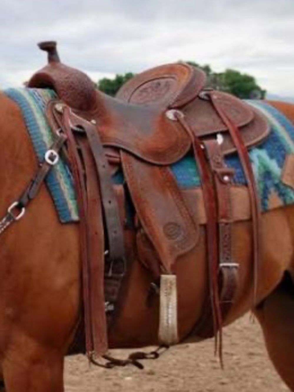 Western Saddle Horse Tack Brown Tooled Leather Saddle Flank Cinch